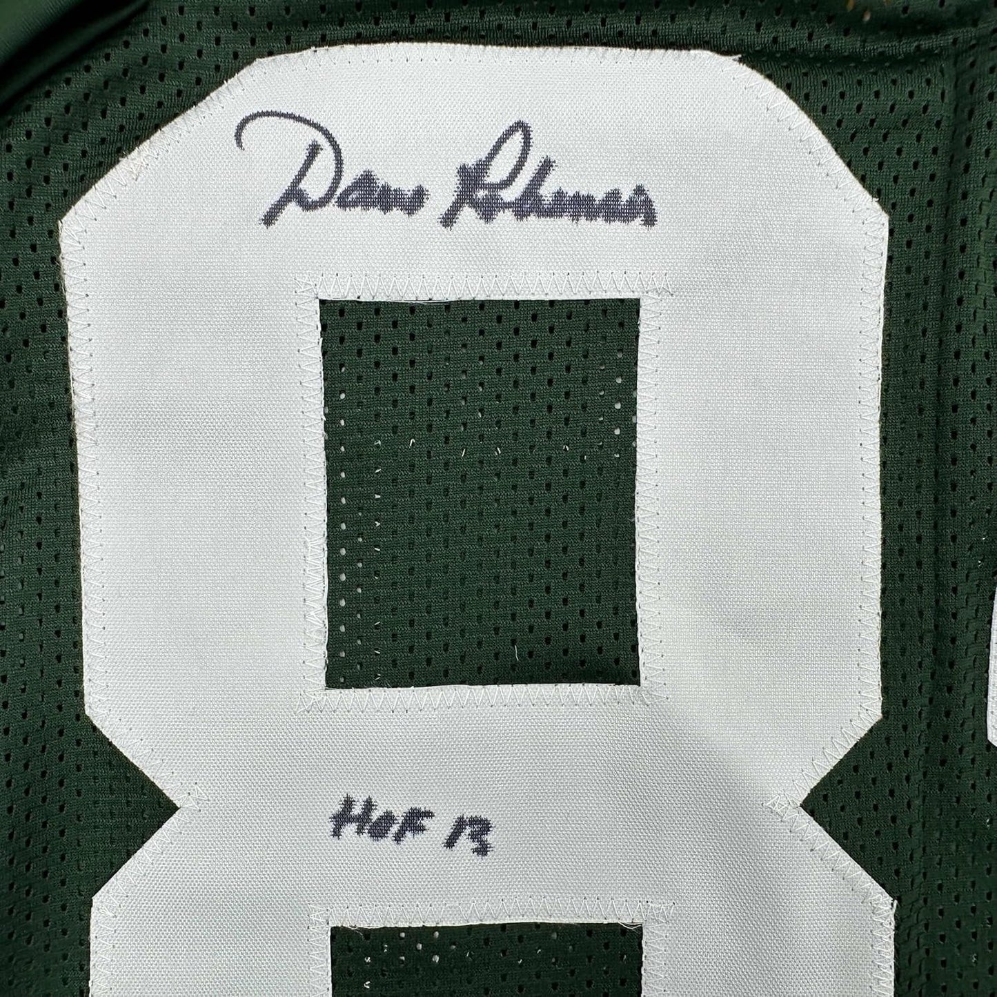 Framed Autographed/Signed Dave Robinson HOF 2013 35x39 Green Bay Packers Green Football Jersey JSA COA