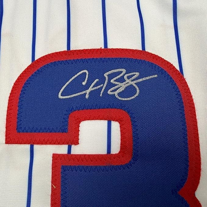 Framed Autographed/Signed Alex Bregman 35x39 Chicago Pinstripe Baseball Jersey Beckett BAS COA