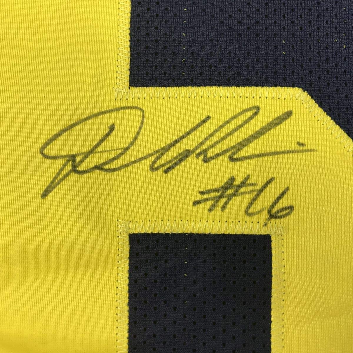Framed Autographed/Signed Denard Robinson 35x39 Michigan Blue College Football Jersey JSA COA